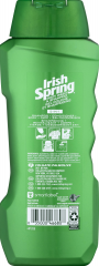 IRISH SPRING BODY WASH 5 IN 1 18 OZ          