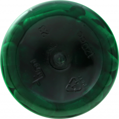 BILBERRY CAP 1200 MG 100 NT                  