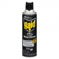 RAID WASP AND HORNET KILLER 14 OZ            